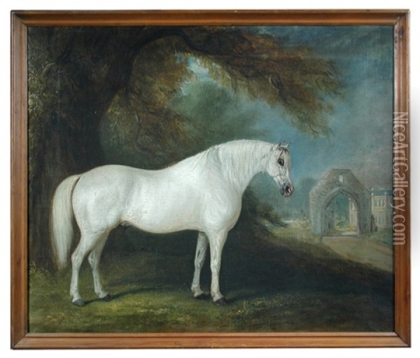 A Grey Arab Stallion At Hartforth Hall, North Yorkshire Oil Painting - John E. Ferneley