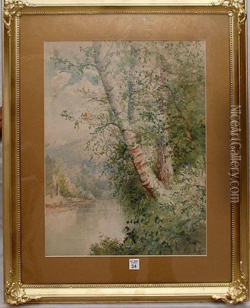 Trees On Ariver Bank Oil Painting - Charles Day Hunt