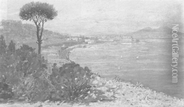 Napoli - Panorama Da S. Antonio Oil Painting - Vincenzo Loria