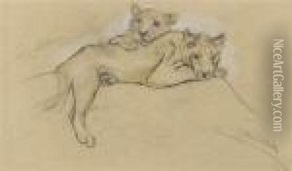 Sleeping Lions Oil Painting - Arthur Wardle