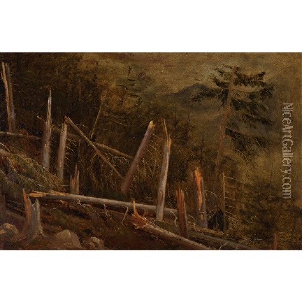 Foret Apres L'orage Oil Painting - Francois Diday