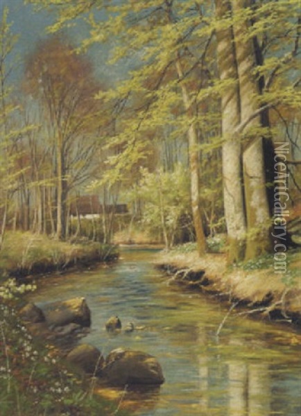 Forarsdag I Skoven Med Nyudsprungne Anemoner Oil Painting - August Carl Vilhelm Thomsen
