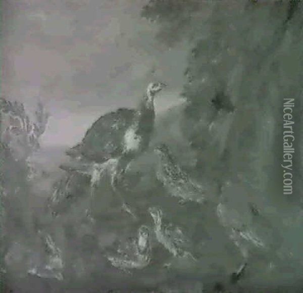 Canards Sauvages, Paons Et Oiseaux Decoratifs Dans Des      Paysages Oil Painting - Angelo Maria (Crivellone) Crivelli