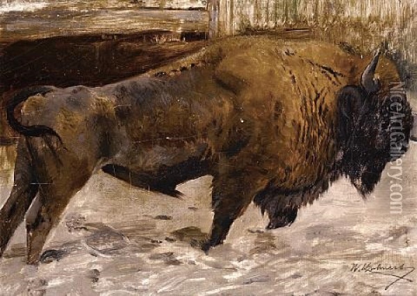 A Study Of A Buffalo Oil Painting - Wilhelm Friedrich Kuhnert