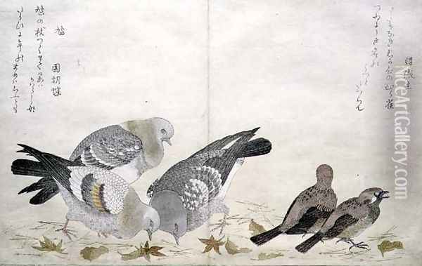 Three Pigeons and two Finches, from an album 'Birds compared in Humorous Songs', 1791 Oil Painting - Kitagawa Utamaro