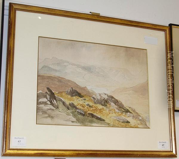Grasmere Oil Painting - Andrew Hunt