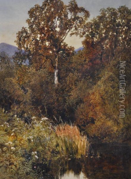 A Rural Pond Oil Painting - James Jackson Curnock