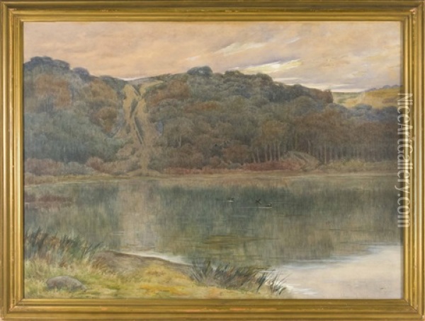 Ducks On A Pond Oil Painting - J. Ambrose Pritchard