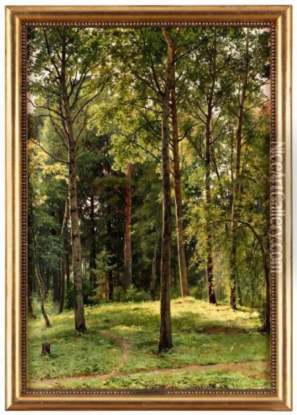 Skogslandskap Oil Painting - Ivan Shishkin