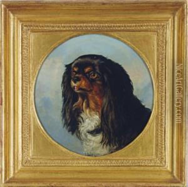 Portrait Of A Cavalier King Charles Spaniel Oil Painting - William Elsob Marshall