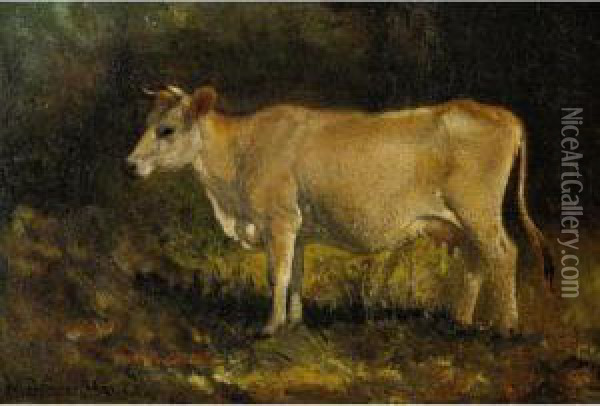 Jersey Cow Oil Painting - Aaron Draper Shattuck