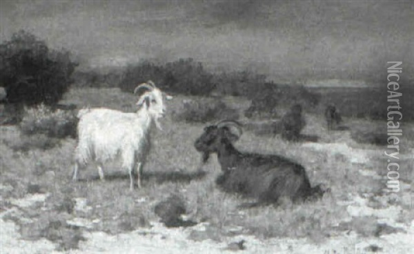 Cabras Oil Painting - Walter Biddlecombe