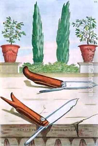 Gardening Knife Oil Painting - Filippo Gagliardi