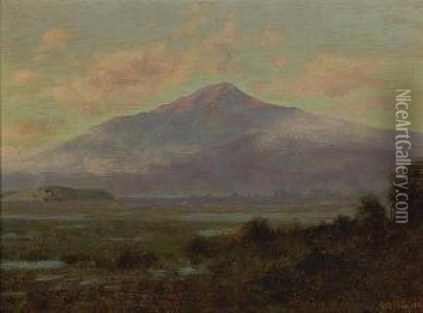Mount Tamalpais From Greenbrae, Marincounty Oil Painting - Charles Robinson
