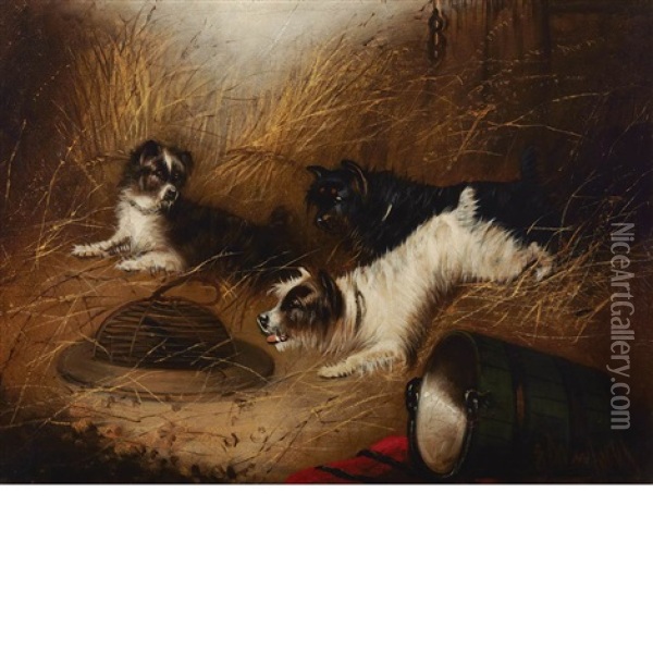 Terriers And The Trap Oil Painting - Edward Armfield