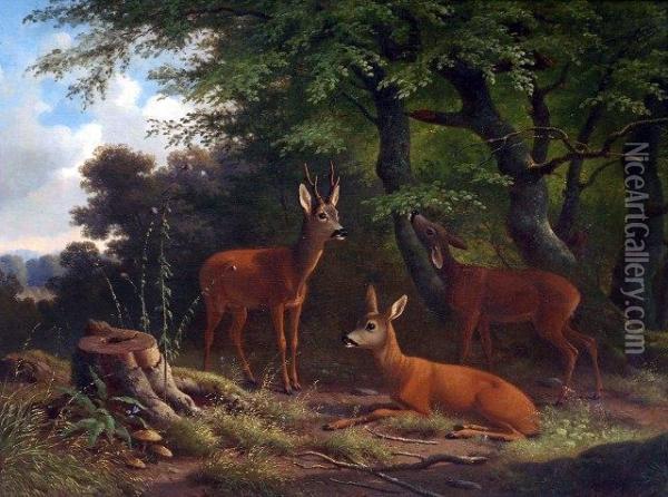 Deer In A Forest Clearing Oil Painting - Wilhelm Reinhardt