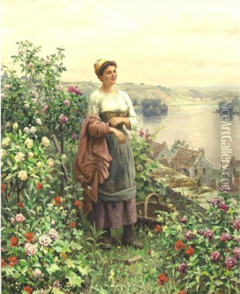 Woman In A Field Oil Painting - Daniel Ridgway Knight