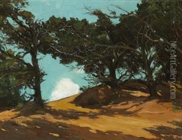 Cypress On The Coast Oil Painting - Frank J. Van Sloun