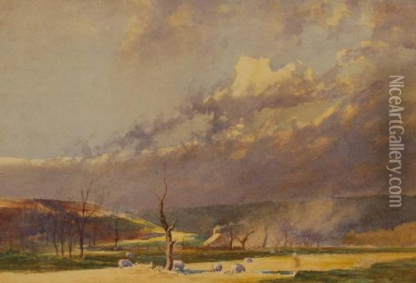 Sheep On Sowells Farm Oil Painting - Alfred Heaton Cooper