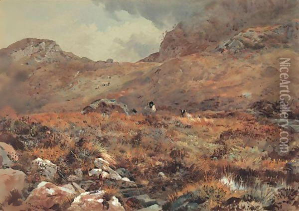 Sheep Resting In A Grouse Moor Oil Painting - Archibald Thorburn