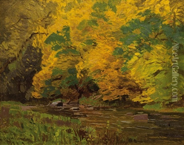 Podzimni Reka Oil Painting - Roman Havelka