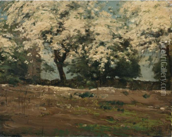 Blossoms Oil Painting - Frederick Childe Hassam