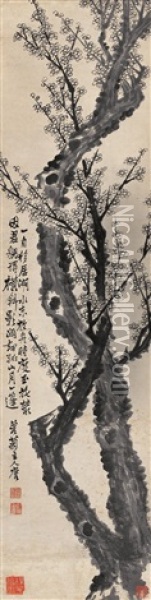 Plum Flower Oil Painting -  Peng Yulin