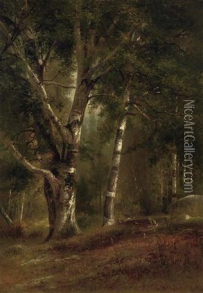 Birches In A Forest Clearing Oil Painting - Benjamin Champney