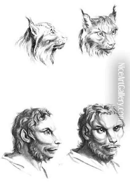 Similarities between the heads of a lynx and a man Oil Painting - Charles Le Brun