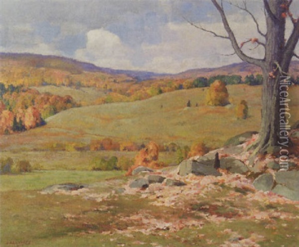 The Call Of The Hills Oil Painting - Jonas Joseph LaValley