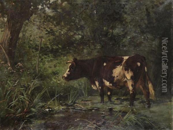 Cow Near The Watering Place In The Forrest Oil Painting - Aymar Pezant