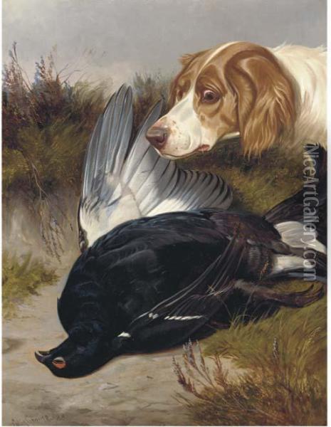 A Gundog With A Black Game Oil Painting - Colin Graeme Roe