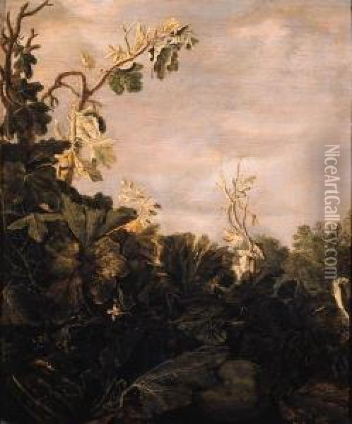 A Pumpkin, A Fig-tree And Other Plants - A Fragment Oil Painting - Reynier Van Der Laeck