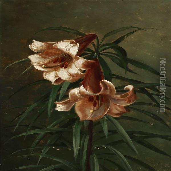 Two Regal Lillies Oil Painting - Ludovica Kabell Rosenorn