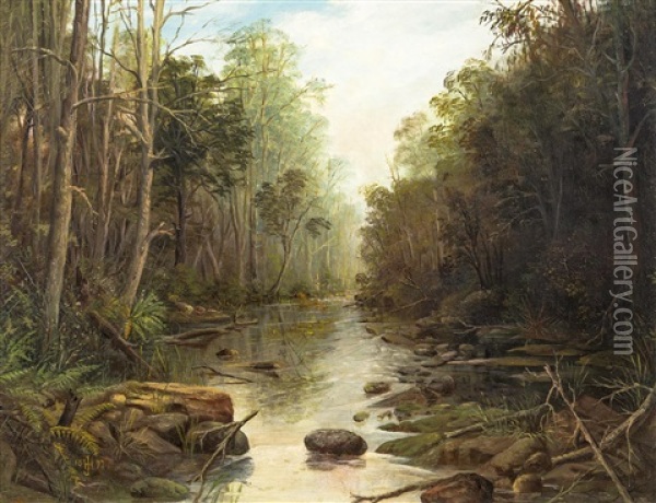 Bush Creek Oil Painting - Henry James Johnstone