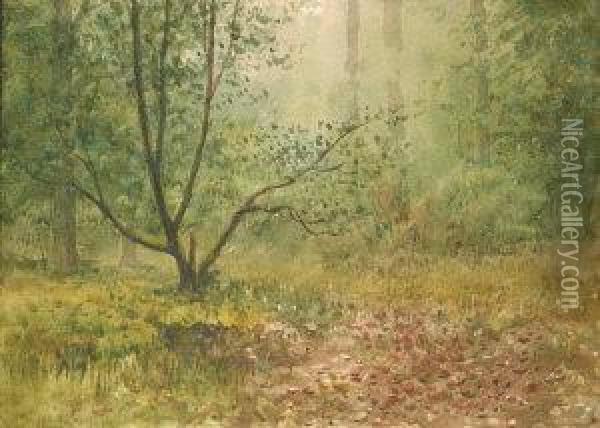 Woodland Scene Oil Painting - William Percy French