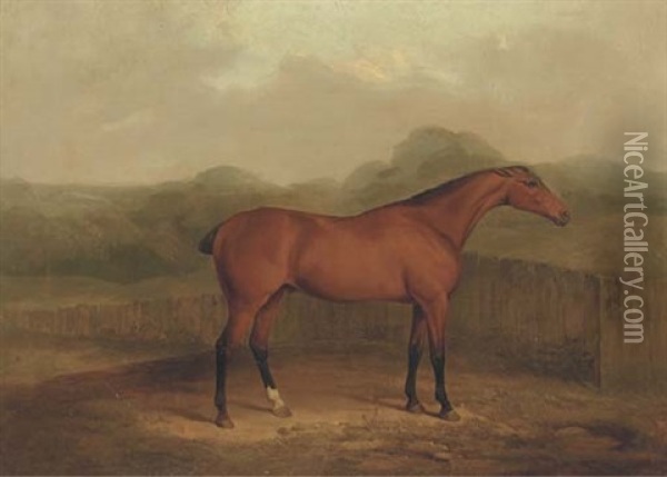 A Chestnut Racehorse In A Landscape Oil Painting - James Barenger the Elder