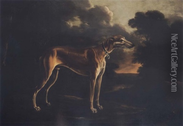 A Greyhound With A Puppy In A Landscape Oil Painting - Michelangelo di Campidoglio