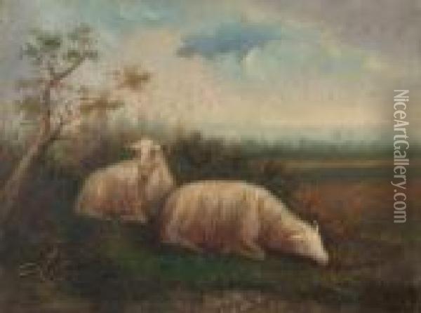 Moutons A La Prairie Oil Painting - Louis Marie Dominique Romain Robbe