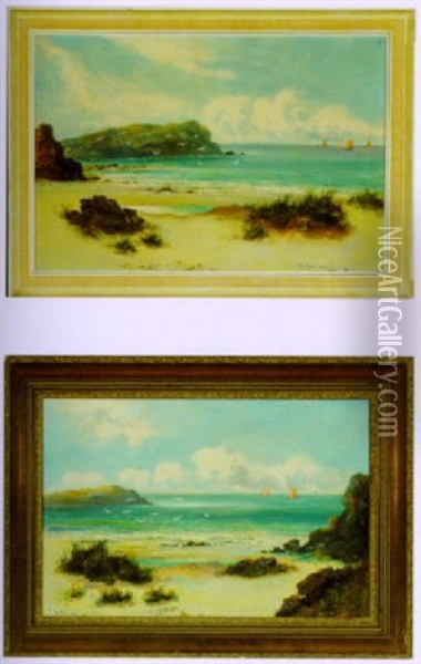 Coastal Seascape With Seagulls Oil Painting - William Langley