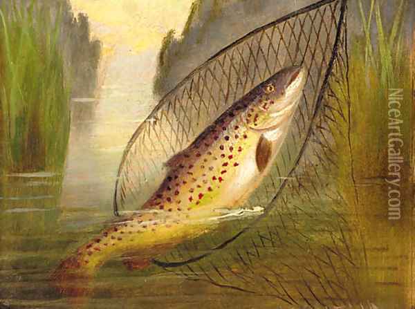 A trout in a net Oil Painting - A. Roland Knight