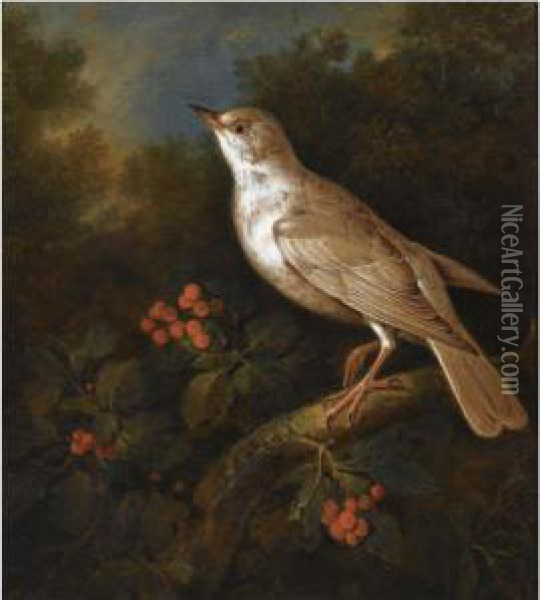 A Songbird On A Branch In A Wooded Landscape, Near A Currantbush Oil Painting - Ferdinand Phillip de Hamilton