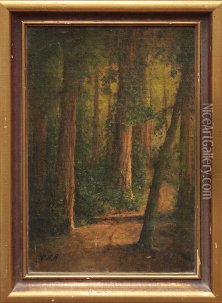 Redwoods Oil Painting - Thomas Henry Rabjohn