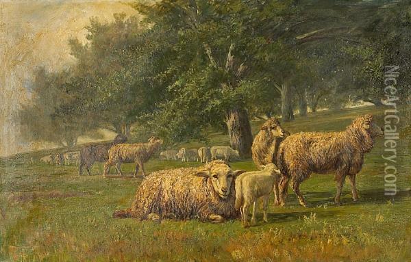 Sheep Grazing In A Meadow Oil Painting - Thomas Corwin Lindsay