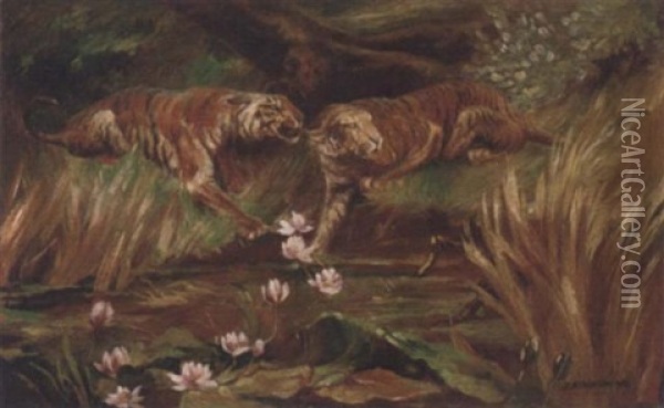 Tigers By A Lily Pond Oil Painting - John Atkinson