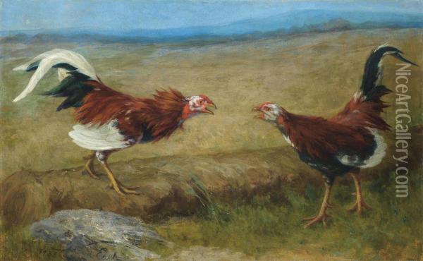 The Cock-fight Oil Painting - Maud Earl