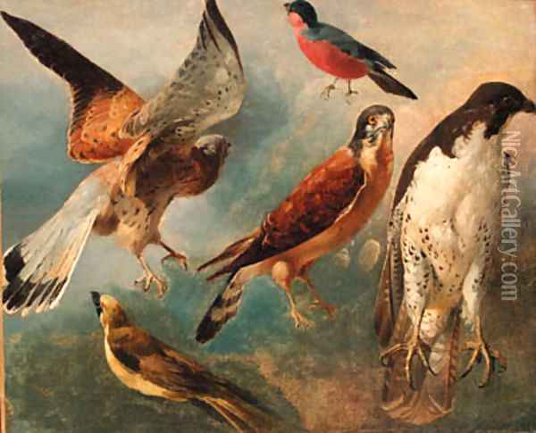 Studies of Birds Oil Painting - French School