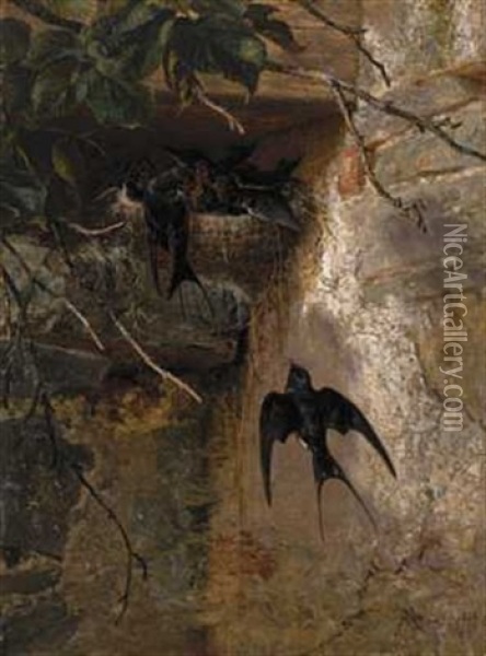 Svalene Blir Matet Oil Painting - Siegwald Johannes Dahl