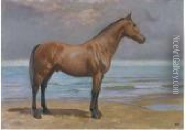 Cavallo Sulla Spiaggia Oil Painting - Edoardo Gioia