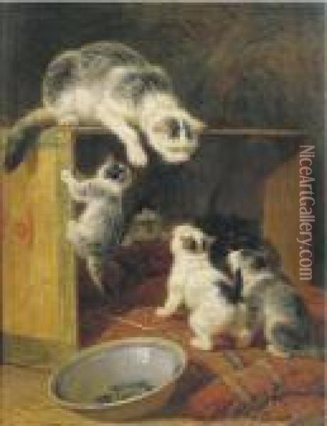 Rebellious Kittens Oil Painting - Henriette Ronner-Knip